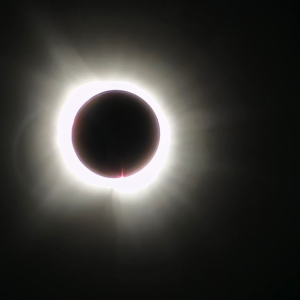 ECLIPS 12 3/4"  X 19 3/4"