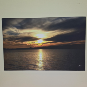 SUNSET 12 3/4" X 193/4"