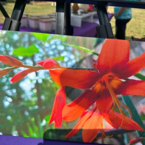 ELEGANT FLORAL 8 5/8" X 14 5/8"